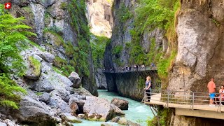 Stunning Views of Switzerland🇨🇭Aareschlucht  Refreshing River Aare  Nature Miracle [upl. by Woodruff]