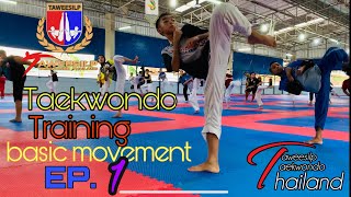 Taekwondo training basic movement Ep1 [upl. by Hackett]