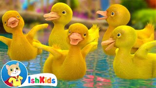 Five Little Ducks  Nursery Rhymes amp Kids Songs  IshKids [upl. by Severin]