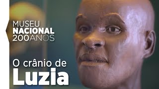 O crânio de Luzia é um dos tesouros do Museu Nacional [upl. by Nanete]