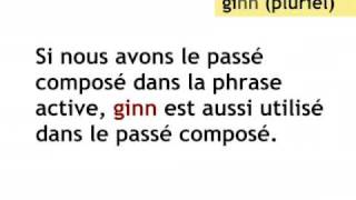 Le Passif Leçon de luxembourgeois [upl. by Wallack]