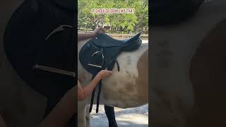 Does your jumping saddle tilt forwards Equestrian Imports [upl. by Netsuj]