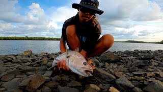 Fishing for MullowayJewfish on Ultra Light Tackle [upl. by Barra]