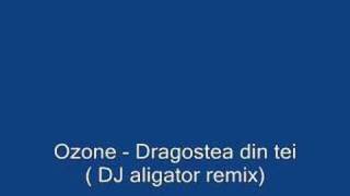 Ozone  Dragostea din tei DJ aligator remix [upl. by Yrem]