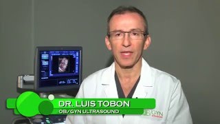 OBGYN Ultrasound Intro [upl. by Htenaj665]