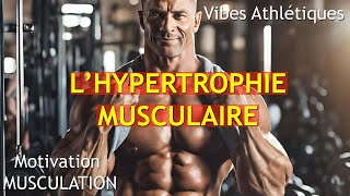 Musculation  Lhypertrophie musculaire [upl. by Yasnil]