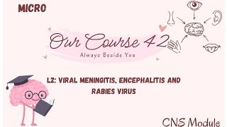 L2 micro Viral meningitis encephalitis and rabies virus CNS 42🧠✨ [upl. by Ashil]