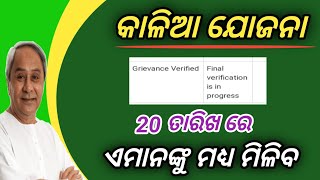 How To Chek kalia yojana status 2023kalia yojana moneyKalia yojana 2023Technical Surya 01 [upl. by Ardnwahsal]