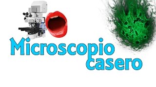 ¿Qué hay en tu boca  Microscopio láser casero Experimentos Caseros [upl. by Mcfarland]