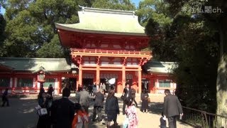 七五三で賑わう大宮氷川神社 [upl. by Aihc325]