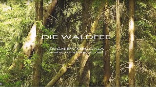 Die Waldfee Wandmalerei Illusionsmalerei [upl. by Blanche]