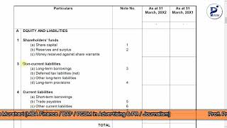 Company Final Accounts format I Schedule VI I Final Accounts format as per Schedule VI [upl. by Nerw]