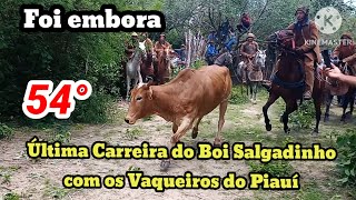 54Â° Carreira do Boi Salgadinho com os vaqueiros do PiauÃ­ [upl. by Irmina]