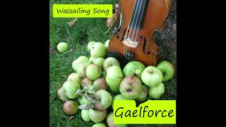 Wassailing by Gaelforce [upl. by Noemis]