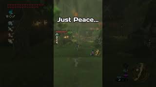 This Village is really cool botw totk zelda zeldabotw zeldatotk zeldabreathofthewild clips [upl. by Aerbma79]