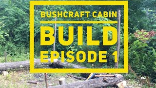 Bushcraft Cabin Build Episode 1 [upl. by Nugesulo]