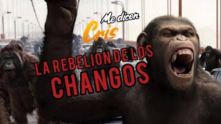 EL PLANETA DE LOS CHANGOS 🐒🌏 Me Dicen Cris EP 26 TEMP 4  Livestream 🚨 [upl. by Wooster]