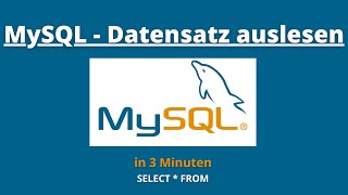 SQL Datensätze auslesen  SQL TUTORIAL GERMAN [upl. by Turmel]