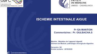 Ischémie intestinale aigue [upl. by Merriman]