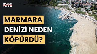 Marmara Denizi neden köpürdü Müsilaj geri mi geliyor [upl. by Lekcim]