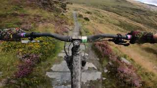 Antur Stiniog  Black Powder  Black tech trail [upl. by Copland]