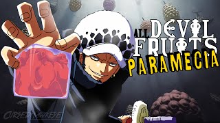 All Known Devil Fruits PARAMECIA in One Piece [upl. by Akeemat757]