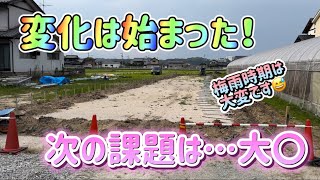 【隣のあれ】少しづつ変化は始まった🎶問題は明日深夜の大〇でしょう🤔【多肉植物】 [upl. by Solnit]