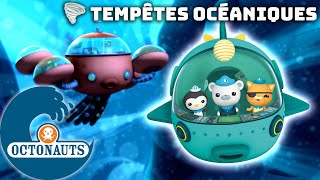 Octonauts  🌊 Tempêtes océaniques 🌪️  Spécial automne  🍂  Dessins animés pour enfants [upl. by Elleivap767]