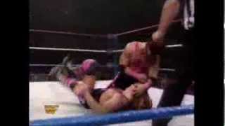 Bret Hart vs Owen Hart No Holds Barret Match Highlights [upl. by Ydrah]