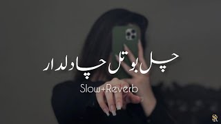 Chal Botal Cha Dildar Slow Reverb new Song Lofi Remix slowreverb Sariaki Song [upl. by Mosra]