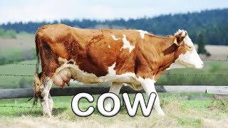 Fun Farm Animal Sounds  Learn About Animals for Children  Kids Learning Videos [upl. by Cynde]