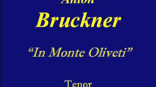 Tenor Bruckner In Monte Olivet [upl. by Asyar5]