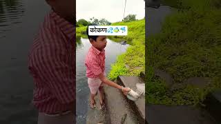 कोकणातील वलगण 🐟 kokan agrikoli fishing [upl. by Yemac915]