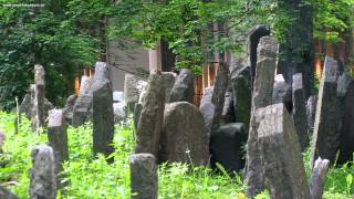 Old Jewish cemetery Jewish Museum in Prague [upl. by Rebekkah]