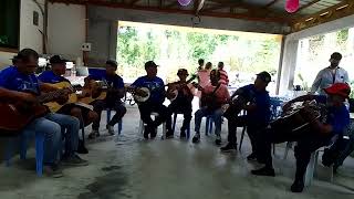 Comparsa Rondalla Roxas Bilar Bohol Philippines [upl. by Engeddi79]