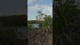 Cycling Anahita Golf amp Spa Resort Mauritius bike [upl. by Banebrudge]