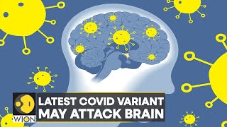 Study Omicron BA5 subvariant may cause more damage  Covid19  WION Pulse  Latest English News [upl. by Aihk]