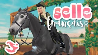 Buying ALL of the Selle Français Horses  Star Stable [upl. by Assele]