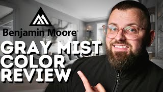 Is Benjamin Moore Gray Mist the Best Neutral  InDepth Review [upl. by Anafetse]