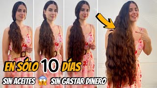 CABELLO LARGO EN 10 DÍAS CON SOLO 1 INGREDIENTE MÁGICO SIN ACEITES✅ [upl. by Phenice]