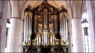 Bach  Organ Concerto BWV 594  Ton Koopman [upl. by Tracy391]