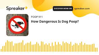 How Dangerous Is Dog Poop [upl. by Enttirb]