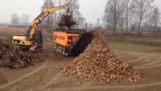 BUFFEL BIOPOWER DOPPSTADT 3060 [upl. by Radman]