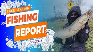 Lake St Clair Ice Fishing Report 11292023 [upl. by Segalman665]