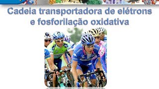 Curso de Bioquímica Cadeia transportadora de elétrons e fosforilação oxidativa parte II [upl. by Oremodlab]