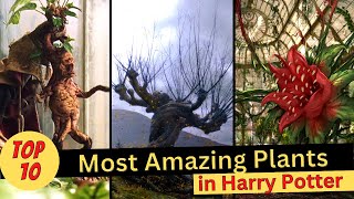 TOP 10 Most Amazing Plants in Harry Potter  Explained in Hindi [upl. by Llerot]