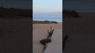 wind turbines off the shore of great yarmouth 271024 waves sea beach nature greatyarmouth [upl. by Dnomaj]