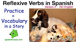 Learn Reflexive Verbs in Spanish  Vocabulary  Practice in a Story [upl. by Wertz601]