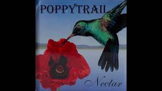 Poppytrail  The Pearl The Death Of Country Music 1993 KUSF Broadcast [upl. by Rosie]