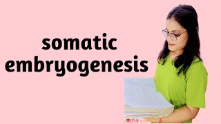 somatic embryogenesis plant tissue culture technique biotechnology lecture2 [upl. by Decato]